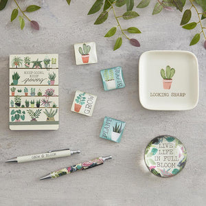 Trinket Tray - Looking Sharp