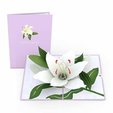 Load image into Gallery viewer, Sympathy Lily
