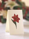 Load image into Gallery viewer, Winter Joy - Pop up Flower Bouquet
