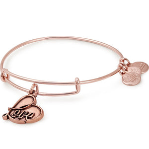 Alex and Ani Love Charm Bangle