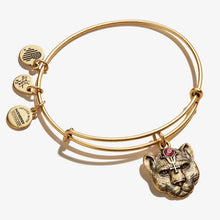 Load image into Gallery viewer, Alex and Ani Wild Heart Charm Bangle
