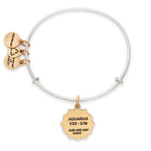 Load image into Gallery viewer, Alex and Ani Aquarius Two Tone Charm Bangle
