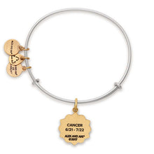 Load image into Gallery viewer, Alex and Ani Cancer Two Tone Charm Bangle
