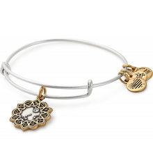 Load image into Gallery viewer, Alex and Ani Capricorn Two Tone Charm Bangle
