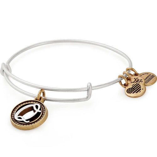 Alex and Ani Initial Q II Bangle Two Tone Silver