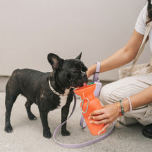 Load image into Gallery viewer, Portable Pet Classic Travel Bottle for Walking Hiking and Traveling - Poppy
