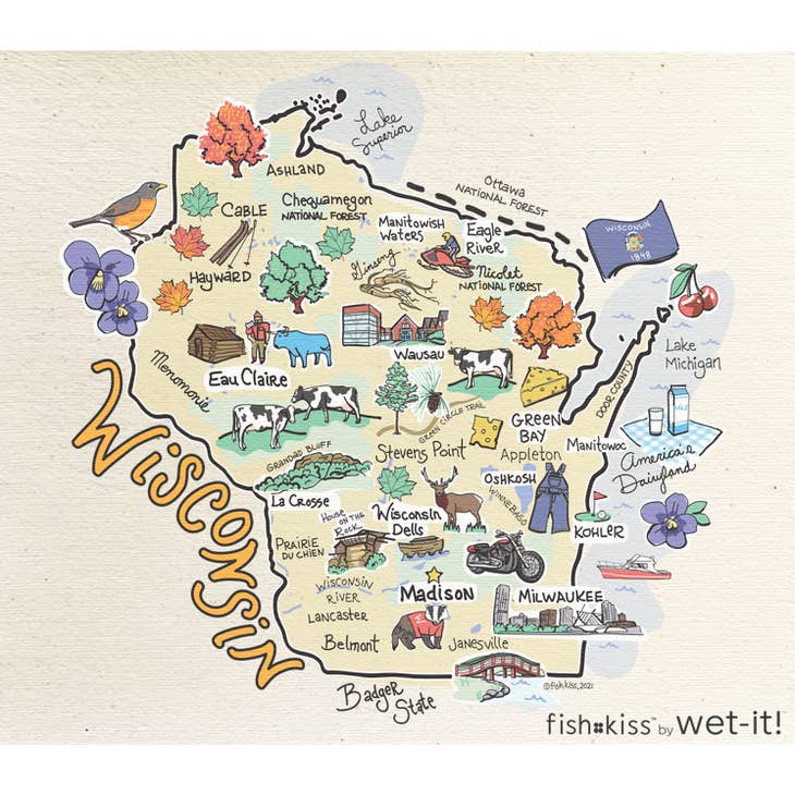 Fishkiss Wisconsin - Swedish Dish Cloth