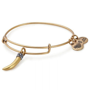 Alex and Ani Horn Charm Bangle