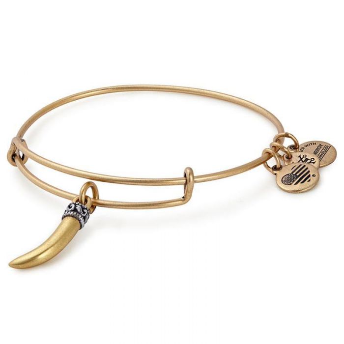 Alex and Ani Horn Charm Bangle