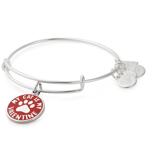 Alex and Ani My Cat is My Valentine Charm Bangle