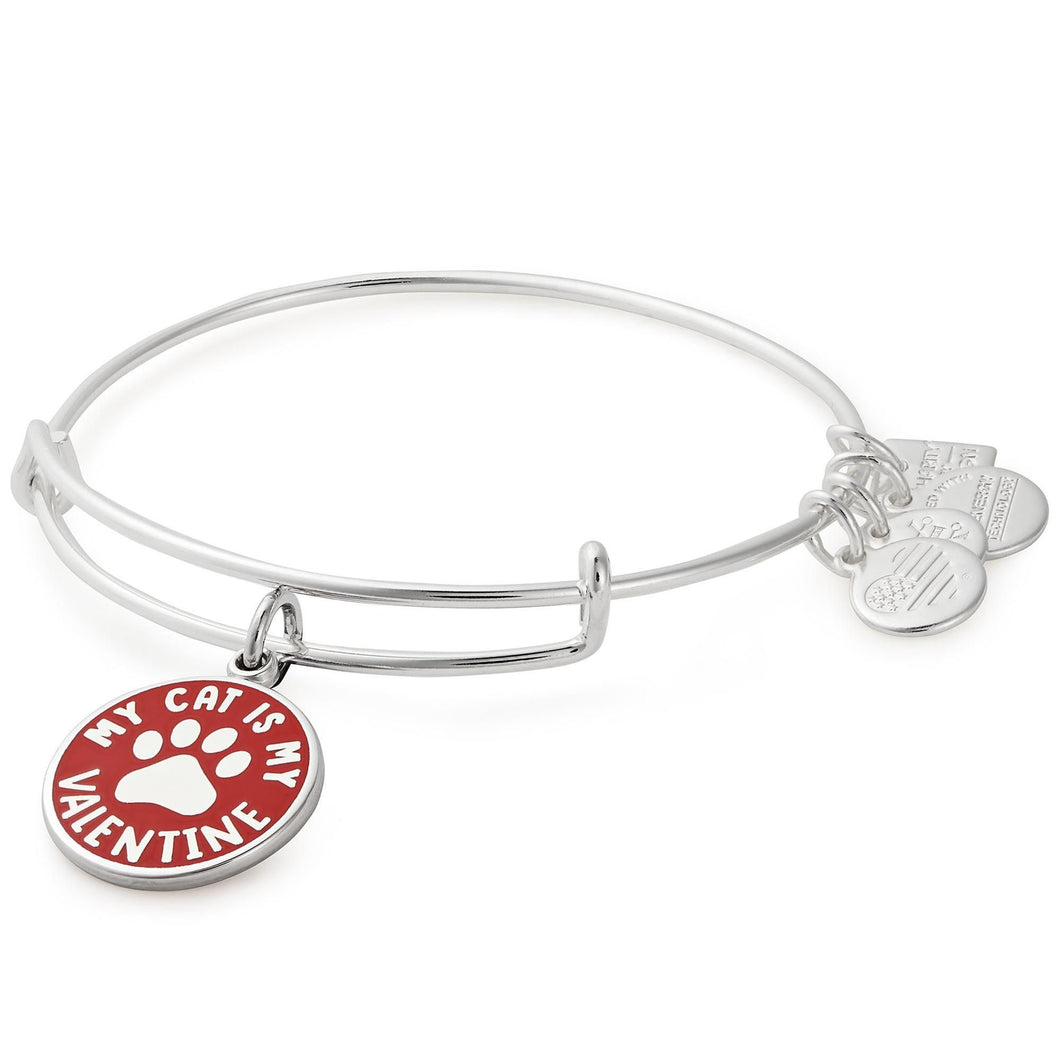 Alex and Ani My Cat is My Valentine Charm Bangle