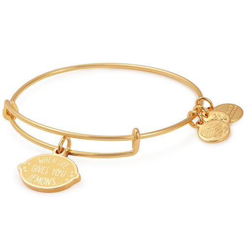 Alex and Ani When Life Gives You Lemons Charm Bangle
