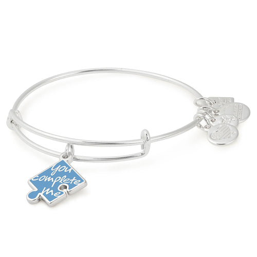 Alex and Ani You Complete Me Charm Bangle