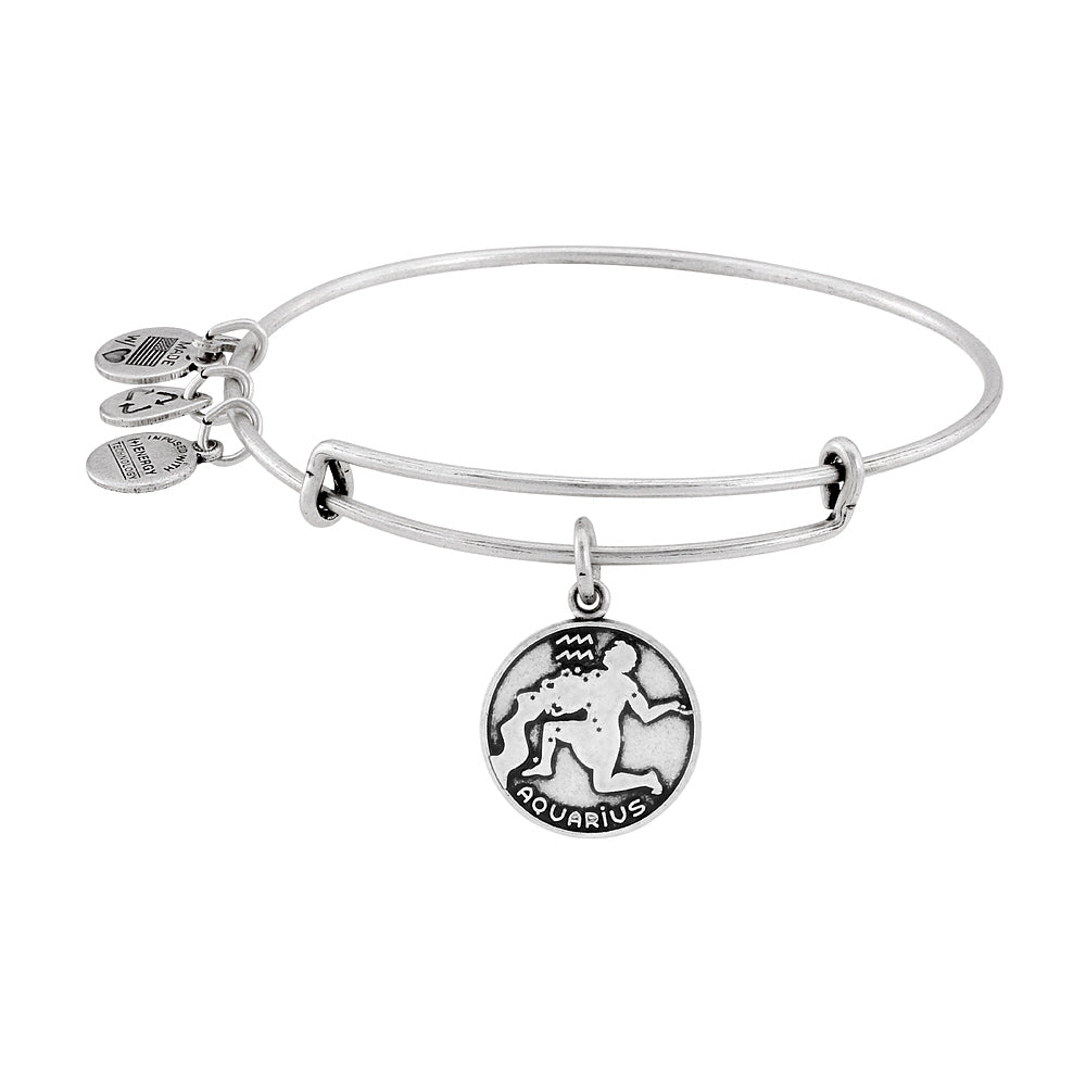Alex and Ani Aquarius II Bangle Silver