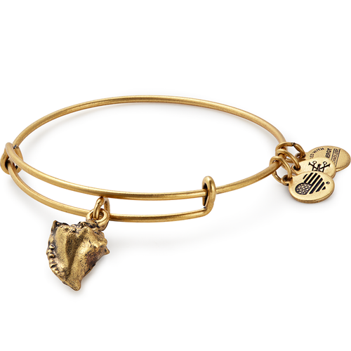 Alex and Ani Conch Shell Charm Bangle
