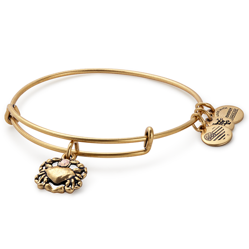 Alex and Ani Crab Charm Bangle