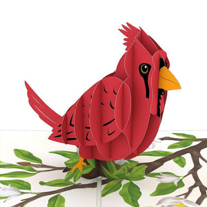 Radiant Cardinal