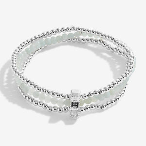 Wellness Stones Amazonite Bracelet - Silver