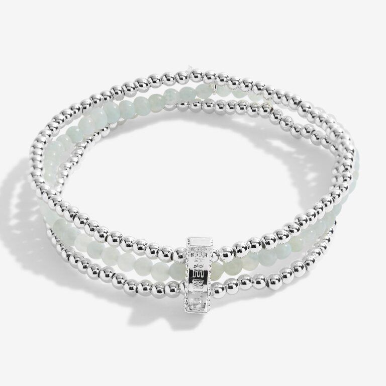 Wellness Stones Amazonite Bracelet - Silver