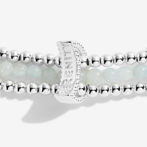 Wellness Stones Amazonite Bracelet - Silver