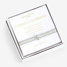 Load image into Gallery viewer, Wellness Stones Amazonite Bracelet - Silver
