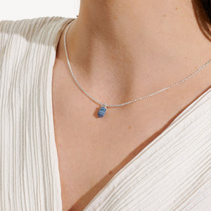 Affirmation Crystal A Little 'Confidence' Necklace - Lapis Lazuli