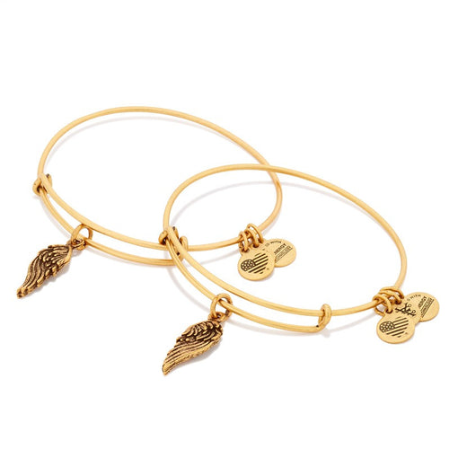 Alex and Ani Wings Set of 2 Charm Bangles