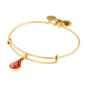 Alex and Ani - January Scarlet Birthstone Teardrop Charm Bangle With Swarovski® Crystals Rafaelian Gold