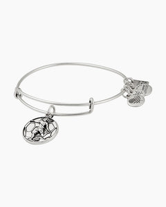 Team USA Soccer II Charm Bangle Rafaelian Silver